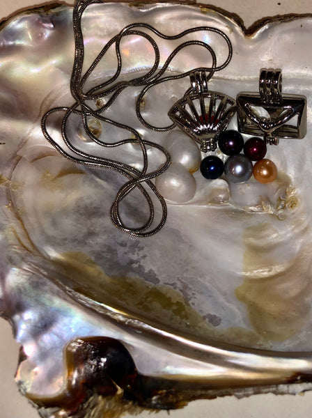 6 Cultured Freshwater Pearl Combo
