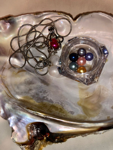 7 Cultured Freshwater Pearl Combo